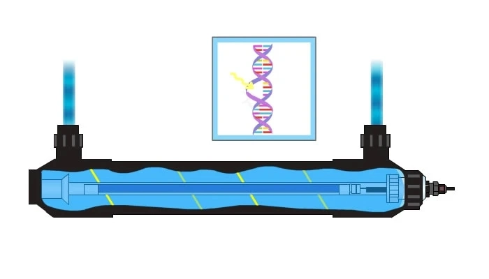 240W Power UV Sterilizer Filter for Water Purification